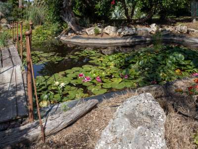 Dopo essere saliti su un ponticello che attraversa un piccolo specchio d�acqua...
